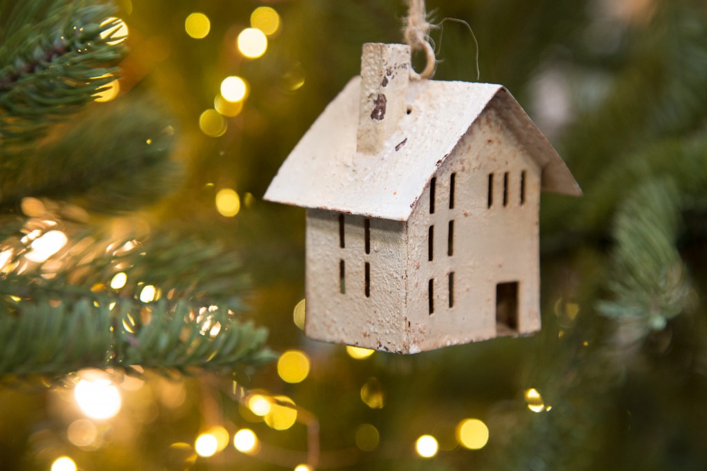 The house ornament by ©Nancy Moon